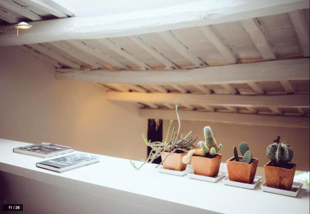 רומא Luxury Art Apartment In Trastevere With Terrace מראה חיצוני תמונה
