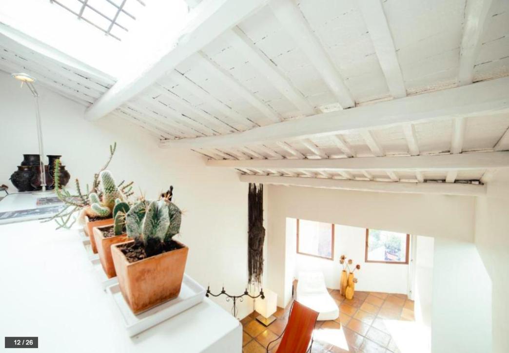 רומא Luxury Art Apartment In Trastevere With Terrace מראה חיצוני תמונה